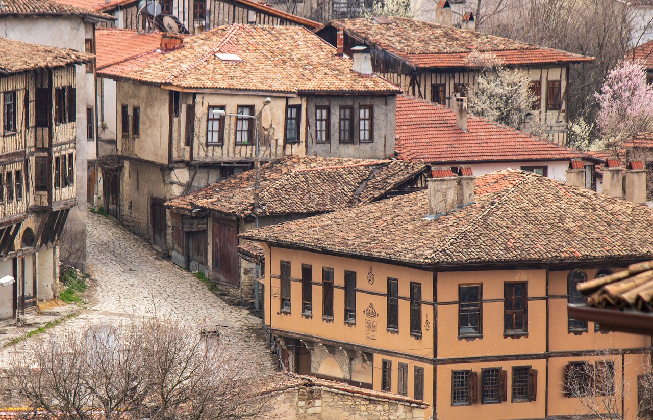 GÜNÜBİRLİK SAFRANBOLU GEZİSİ