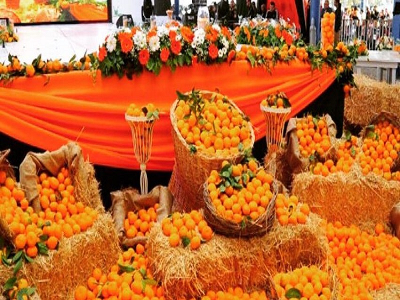 PORTAKAL ÇİÇEĞİ FESTİVALİ TURU